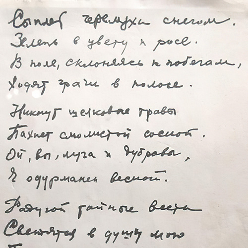 Sergey Esenin. Blossom wite bird cherries scatter...