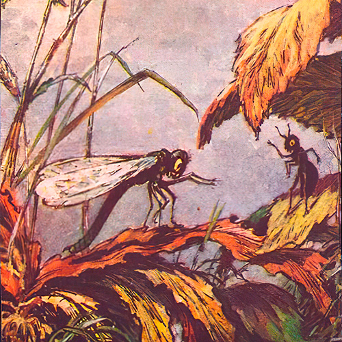 Dragonfly and the Ant